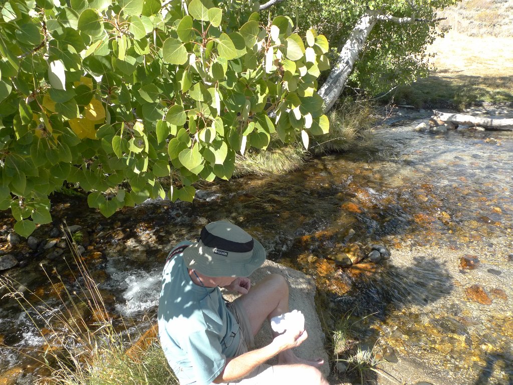 California-Fall2010 575.JPG